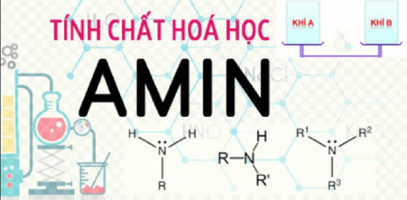 tính chất hóa học của amin